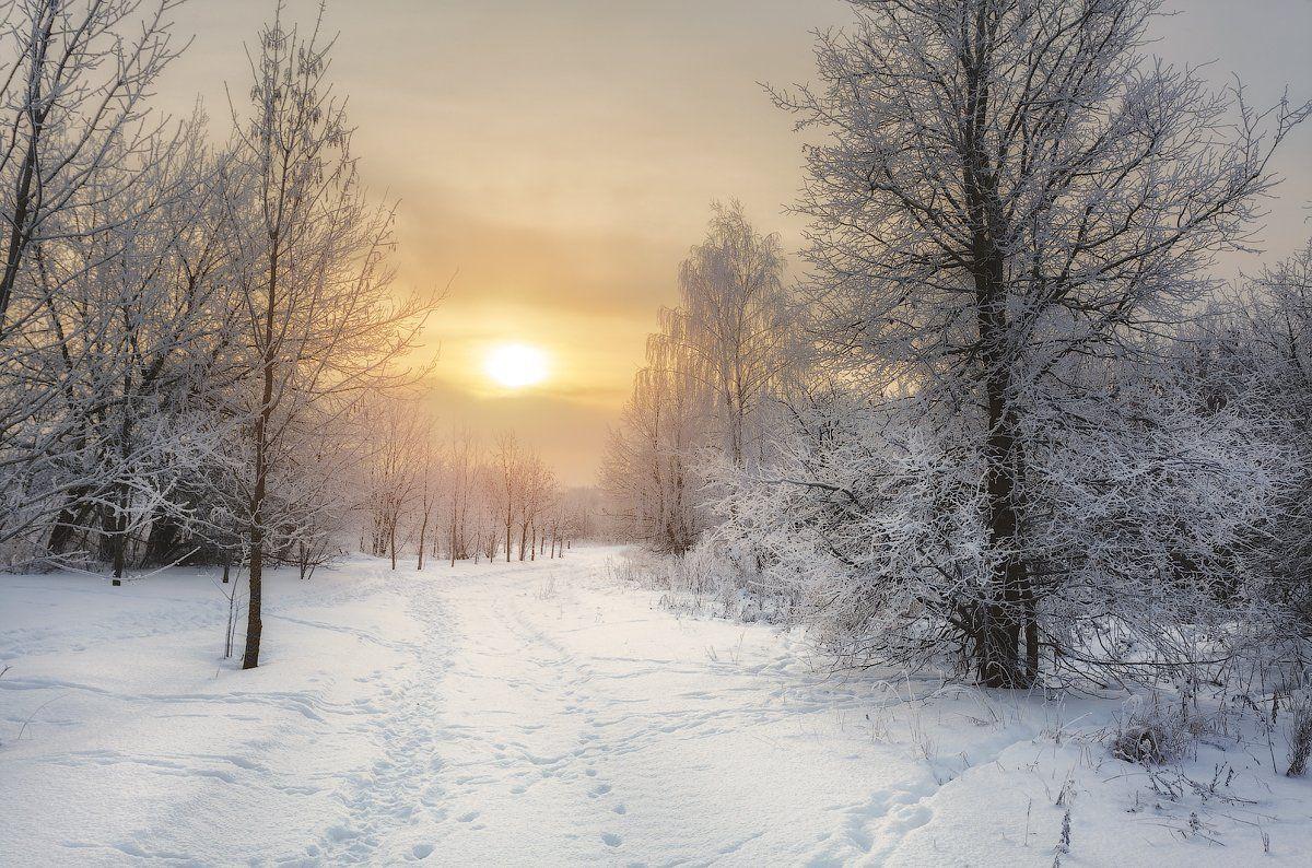 зима горы Lanscape солнечная Стоковое Изображение - изображение  насчитывающей рождество, изображение: 7702383