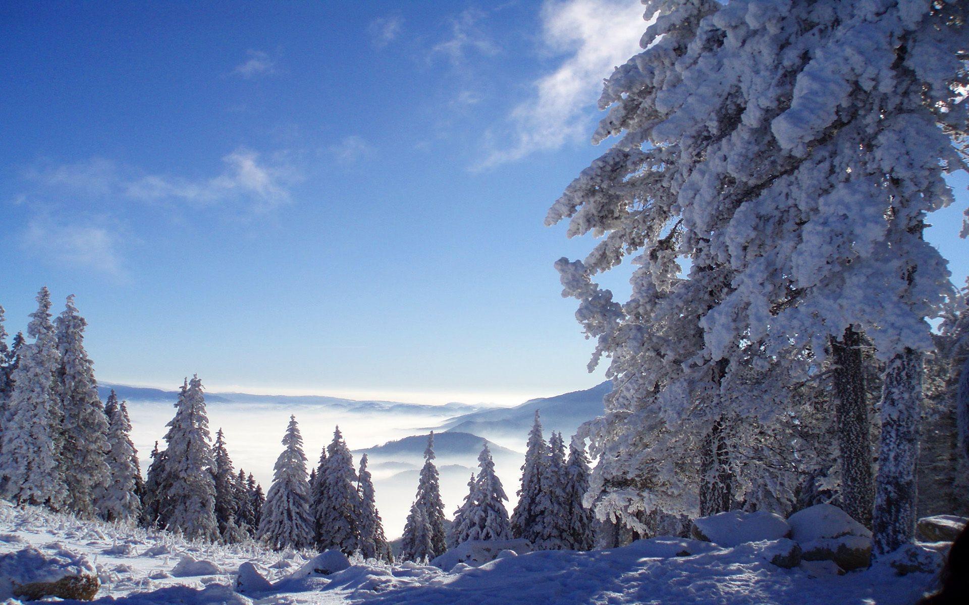 Обои Зима, снег, дома, деревья, солнечные лучи 1920x1200 HD Изображение