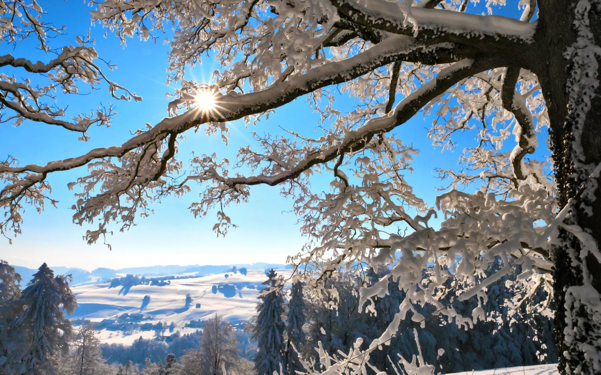 Яркая и солнечная зима! | RSBratsk | Дзен