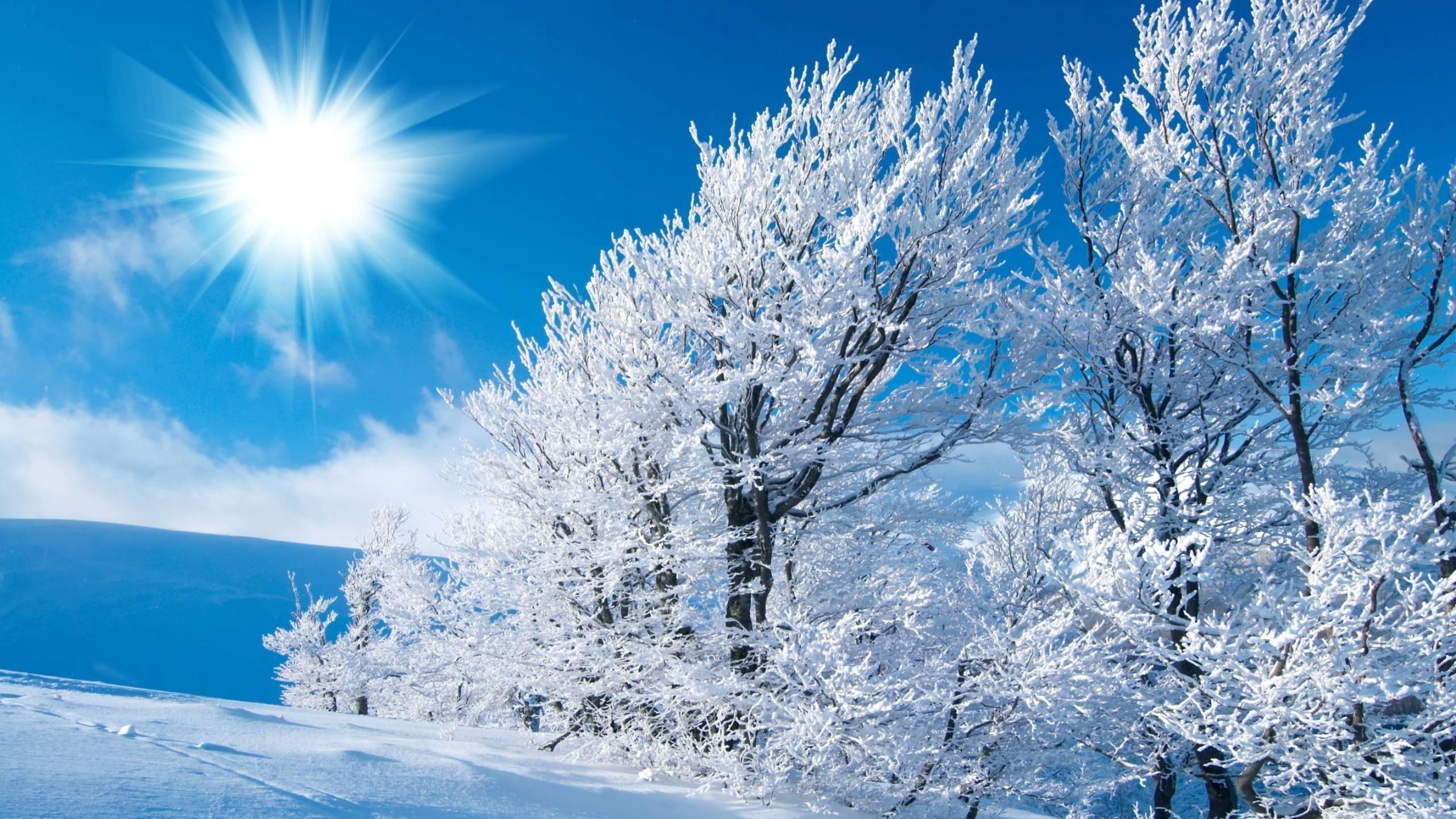 солнечная зима стоковое изображение. изображение насчитывающей гора -  2301105