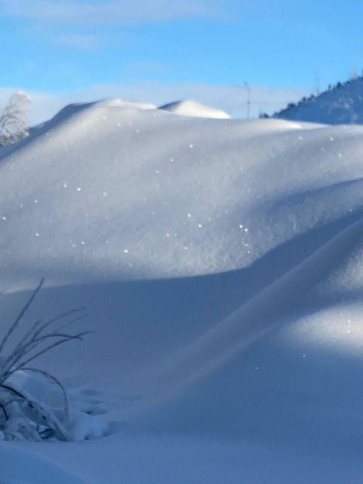 Фотография Австрия Dienten Ель Зима гора солнца Природа Снег