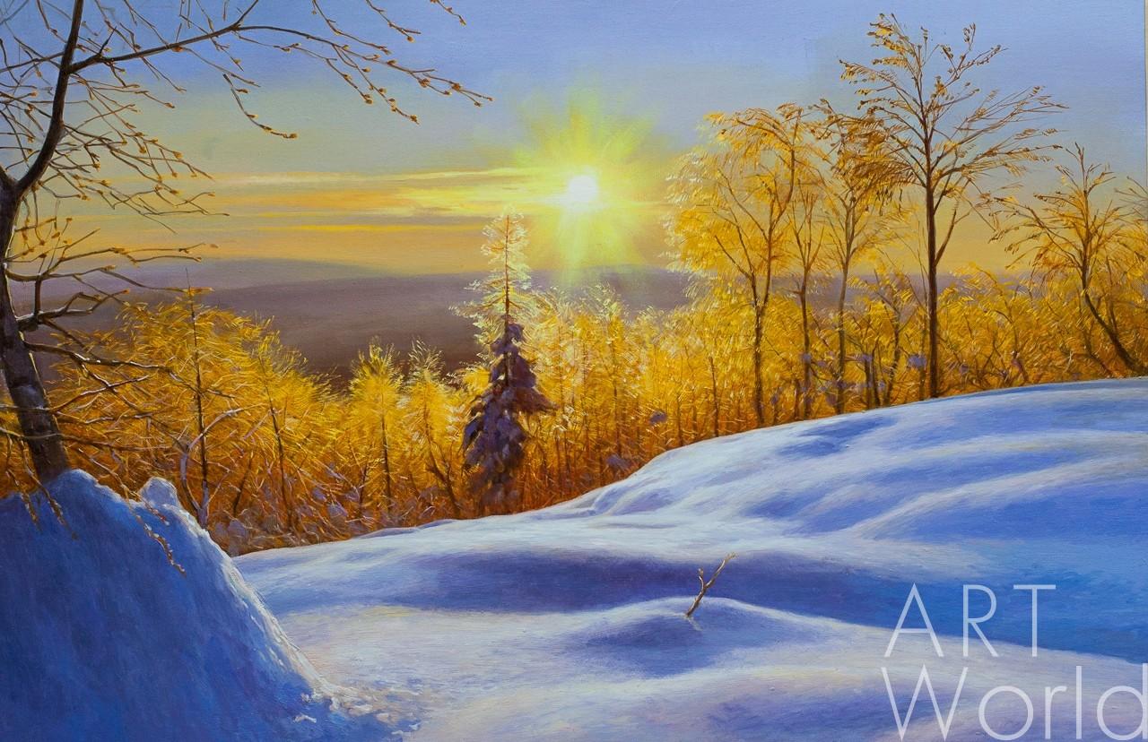 Картинки зимнее солнце красивые (68 фото) » Картинки и статусы про  окружающий мир вокруг