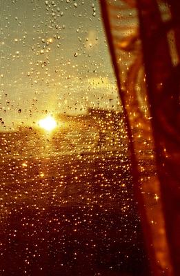 Солнце и дождь — Фото №1325745