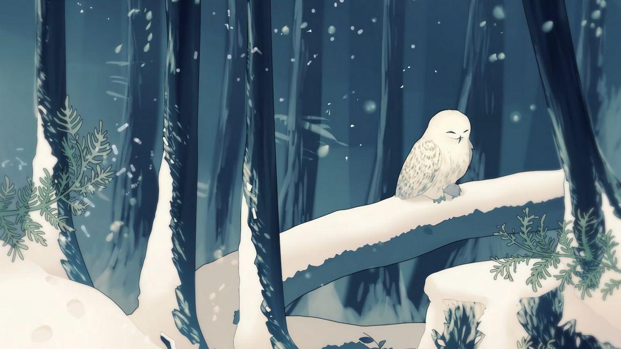 Животные зимой (45 фото) | Картинки с совой, Плюшевая сова, Животные