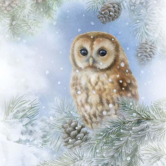 Обои лес, сова, арт, снег, зима картинки на рабочий стол, фото скачать  бесплатно