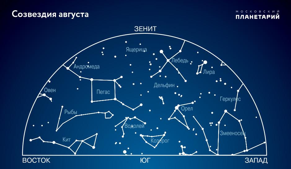 Карта звездного неба Южного полушария с созвездиями – Статьи на сайте  Четыре глаза