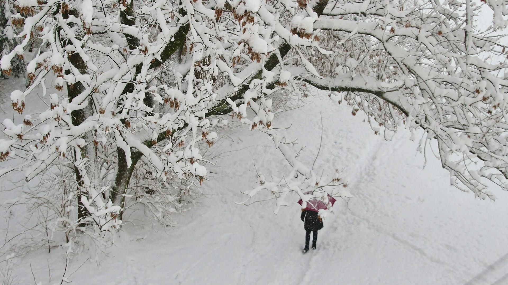 Суббота, 7 января: морозно, местами возможен снег / Статья