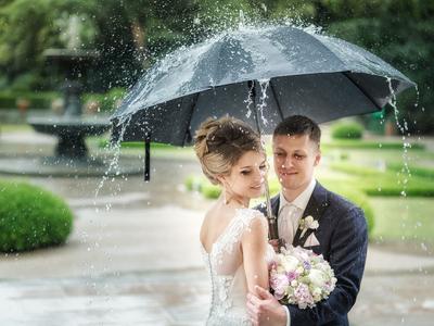 4 совета на случай, если в день свадьбы пошёл дождь | Позы для свадебных  фотографий, Свадьба, Свадебные портреты