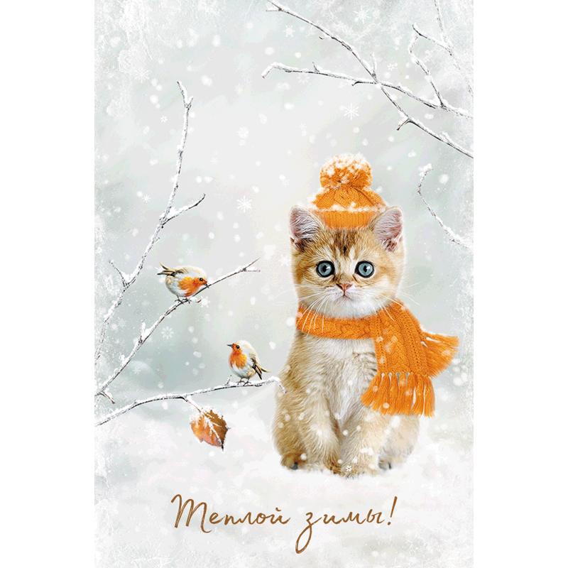 Теплой зимы! (мини-открытка) - postcardpress