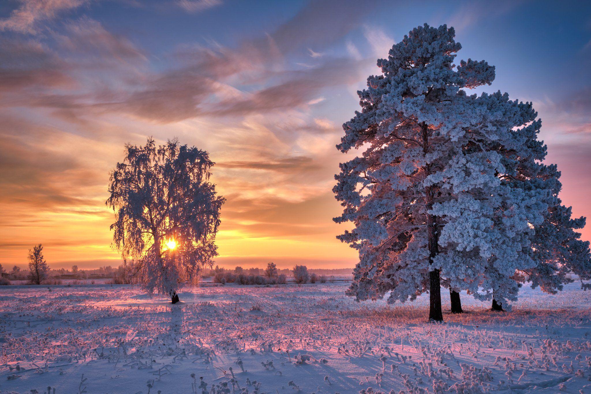 Теплая Зимние Ночи — стоковые фотографии и другие картинки Зима - Зима,  Снег, Солнце - iStock