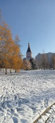 Ура, зима! — купить в интернет-магазине по низкой цене на Яндекс Маркете