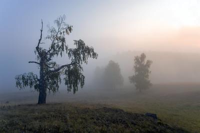 лучи живописное туманное утро Рассвет весны Стоковое Изображение -  изображение насчитывающей красивейшее, луч: 107438775