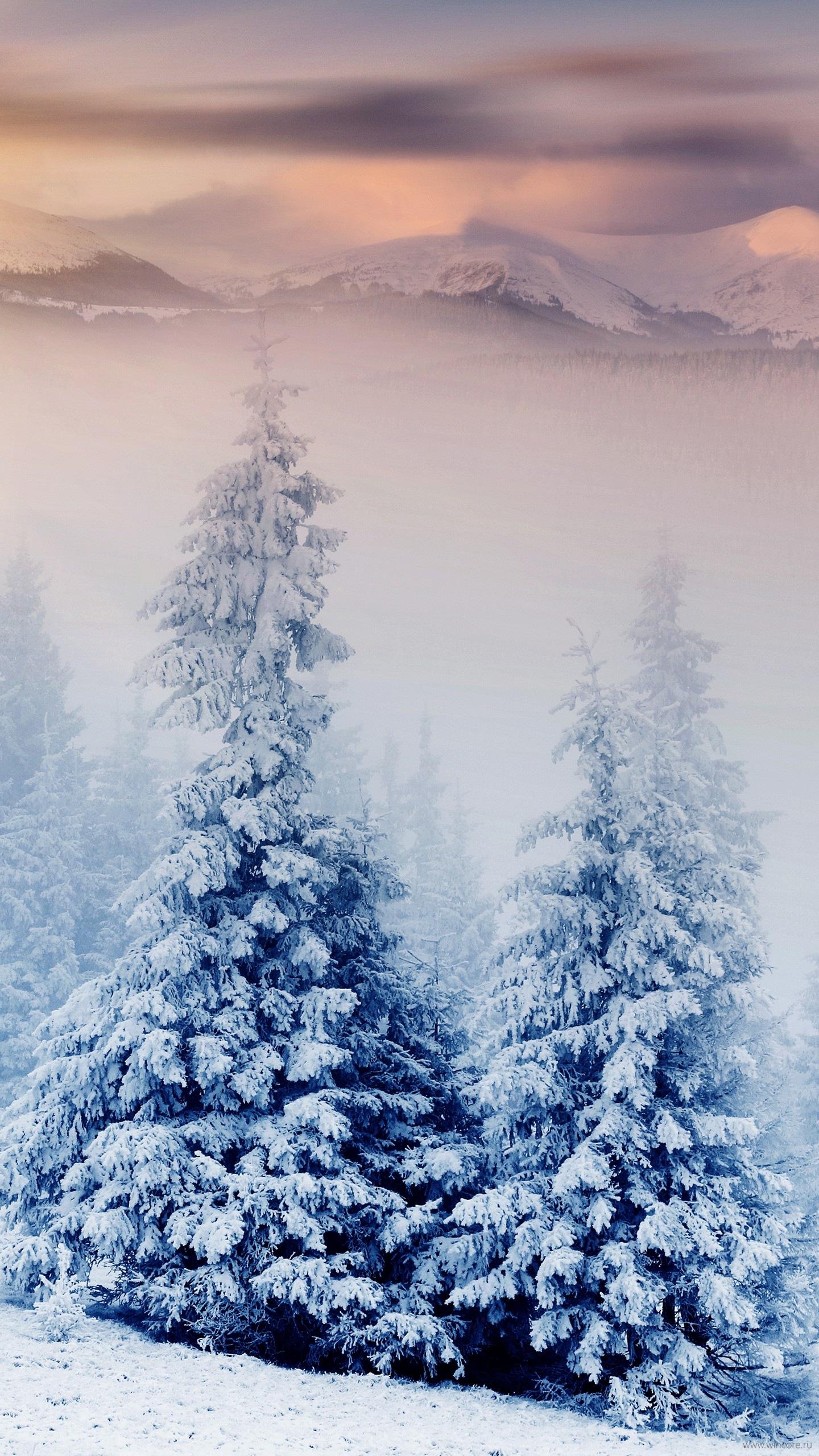Вертикальные следы на снежной дороге в рассвете во время зимы Стоковое  Изображение - изображение насчитывающей дорога, место: 147848345