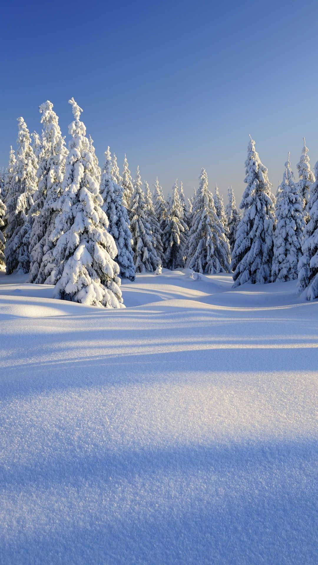 Фон зима вертикальный - фото и картинки: 73 штук