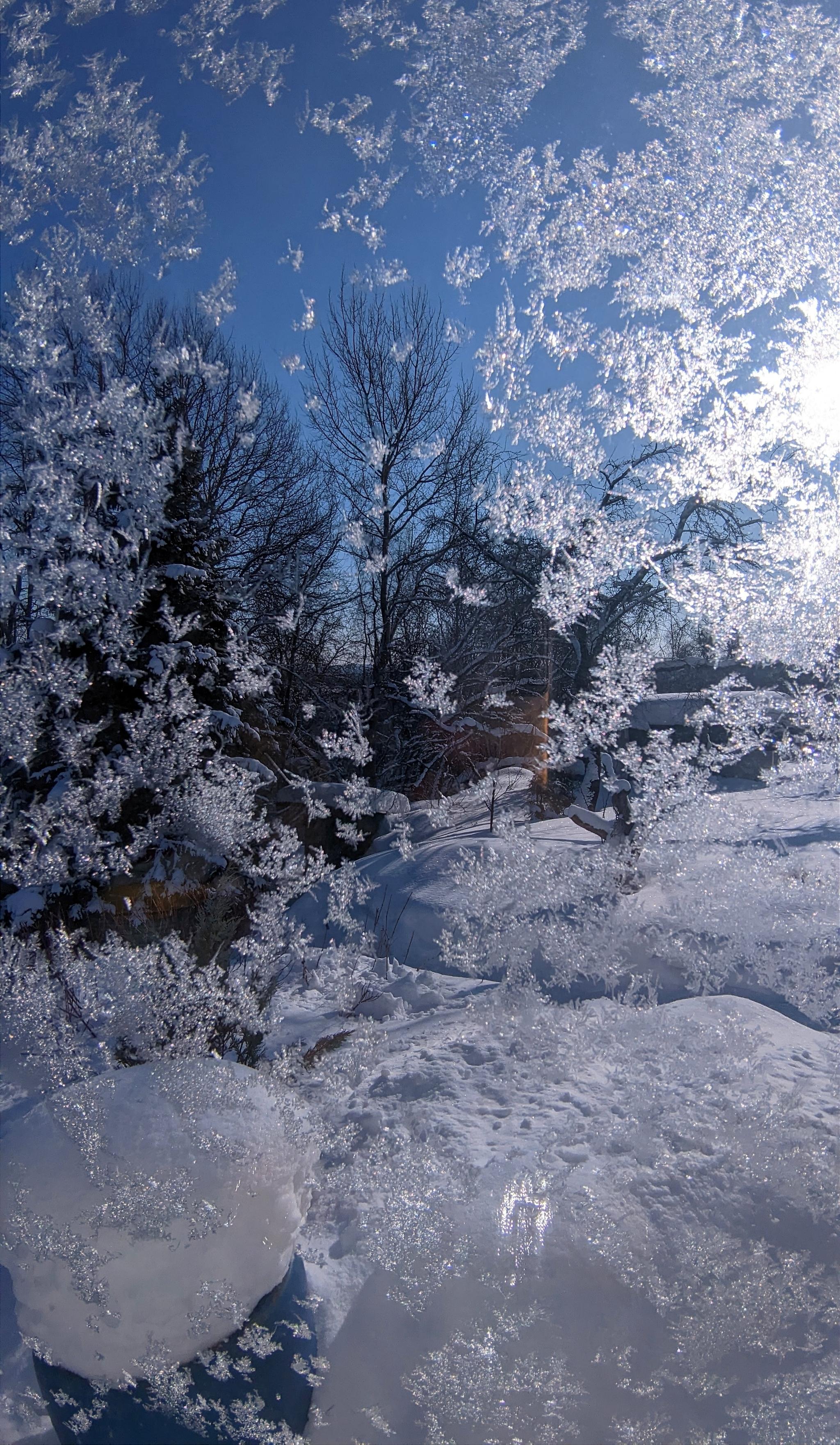 Зима вертикальные (Фотографии зимней природы в вертикальном формате) -  treepics.ru