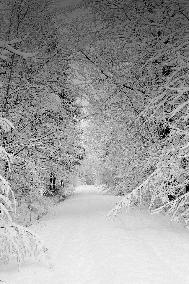 Картинки На Телефон Природа Зима Вертикальные – Telegraph