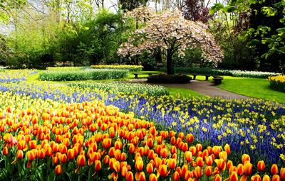 Красивый пейзаж весны до весны Стоковое Изображение - изображение  насчитывающей праздник, отлично: 211686463