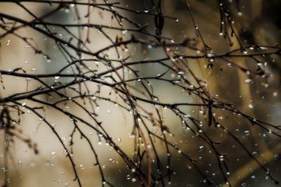 Весенний дождь за окном стоковое фото. изображение насчитывающей весна -  177690144