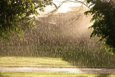 Первый весенний дождь в интернет-магазине Ярмарка Мастеров по цене 26800 ₽  – O3HHABY | Картины, Бежецк - доставка по России