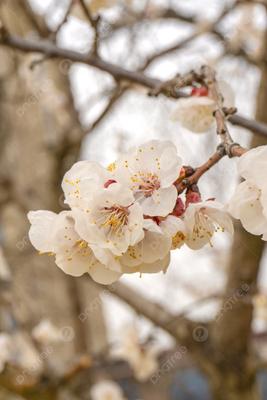 весна#стихи#природа Апрель | Кимрская библиотека