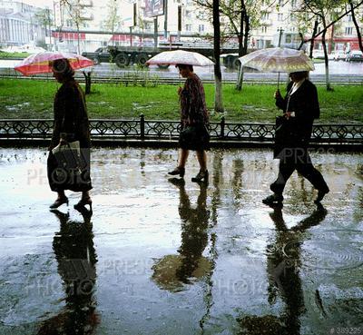 Плачущая весна: в Волгограде дождь будет идти целый день