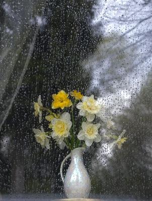 картинa Акварельная бумага Акриловые краски — купить онлайн. картинa  «Весенний дождь» от художника Наталья Матишак, город Люберцы для интерьера  или в подарок с параметрами: Акварельная бумага, Акриловые краски, Россия,  2021 года создания |