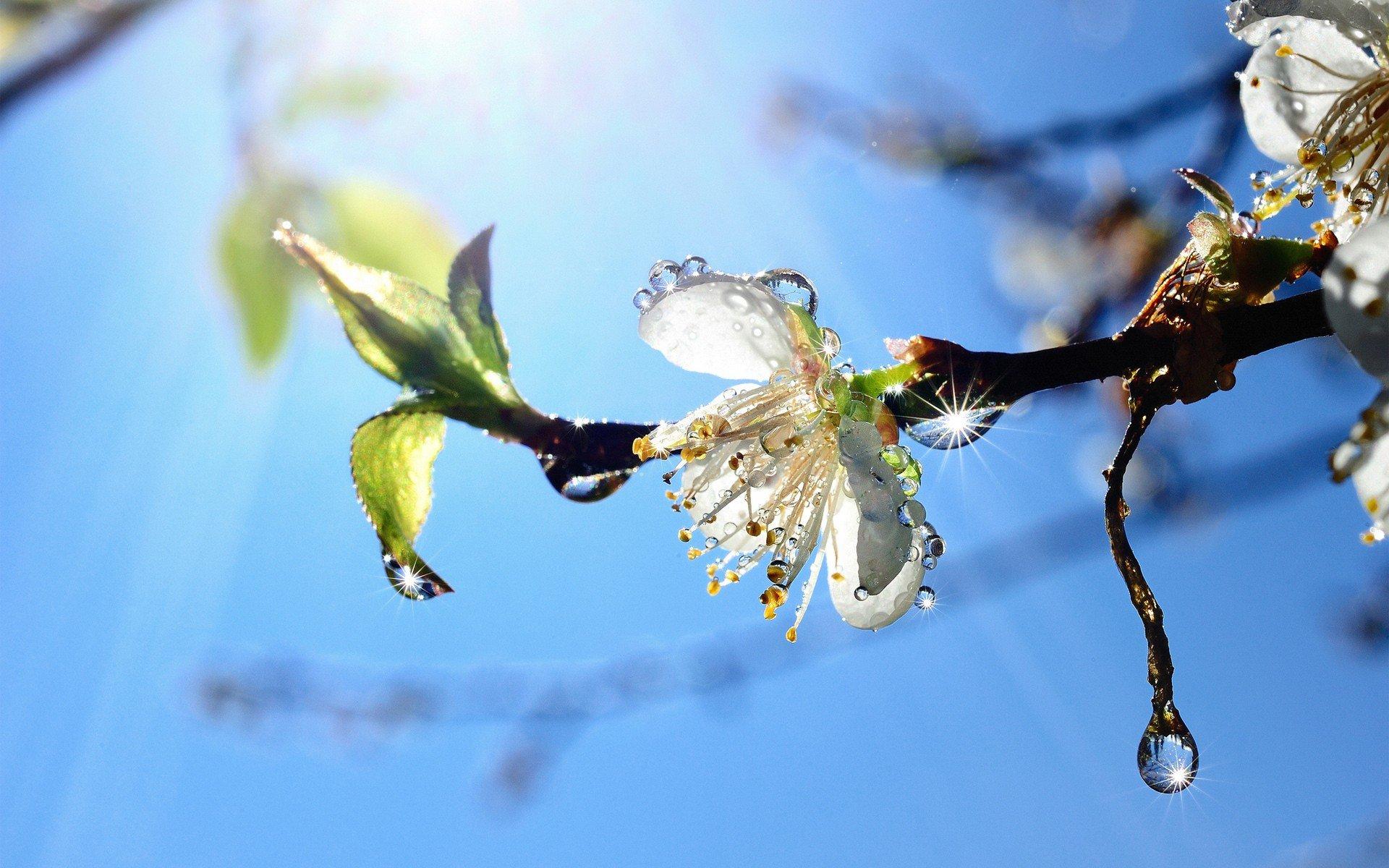 Картинки красивые на аватарку весна природа (69 фото) » Картинки и статусы  про окружающий мир вокруг