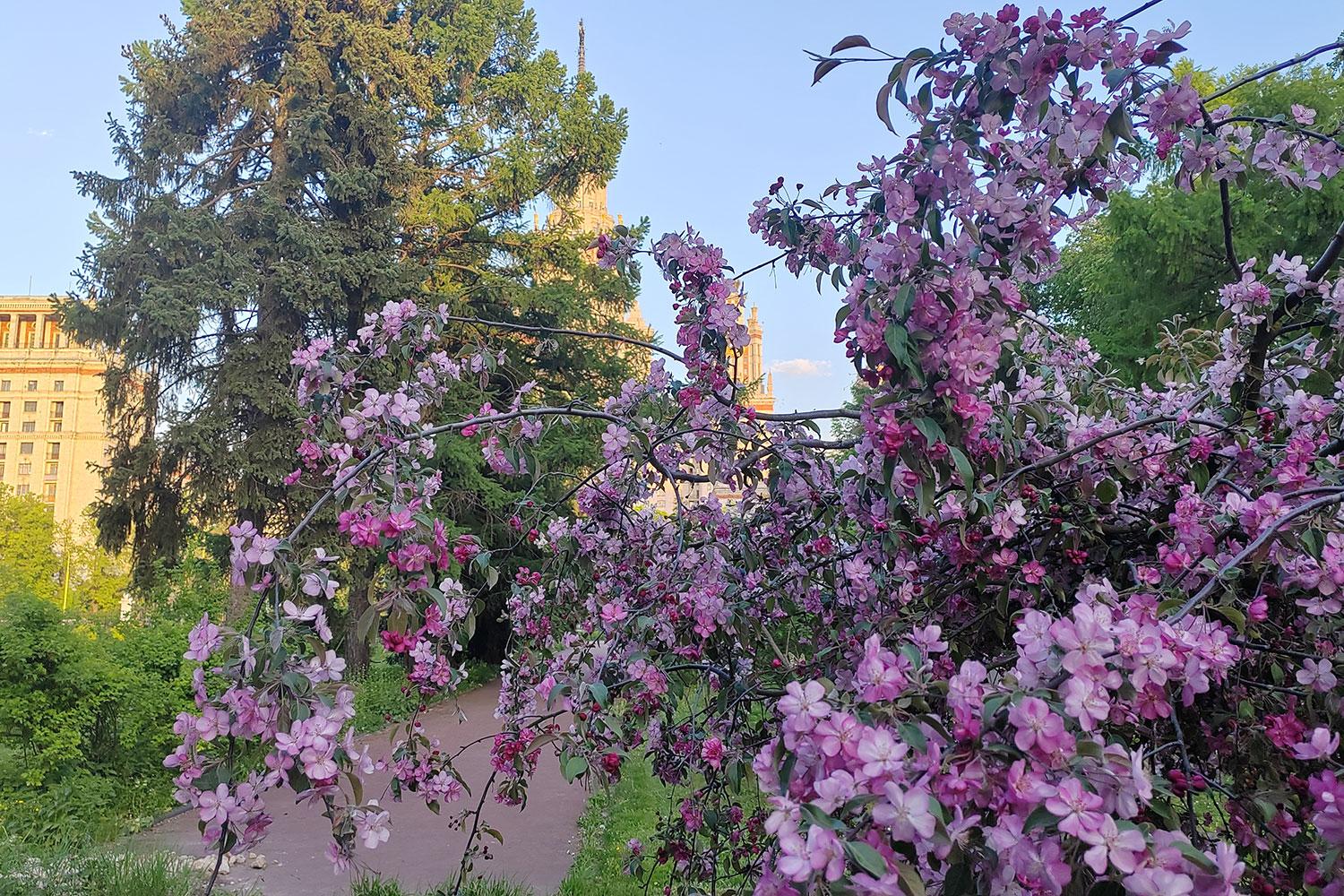 Лучшие фото (10 000+) по запросу «Весна» · Скачивайте совершенно бесплатно  · Стоковые фото Pexels