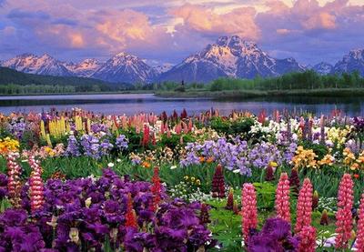 Весна в горах | Beautiful nature, Beautiful landscapes, Nature