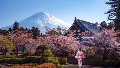 Япония весной: топ-10 активностей