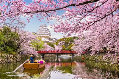 Инстаграм недели: весна в Японии | Пейзажи, Живописные фотографии, Картины  с изображением природы