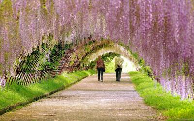 Весна в Японии редакционное фотография. изображение насчитывающей пейзаж -  30352807