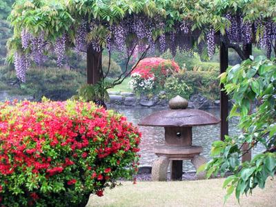 В Японию на цветение сакуры. Сколько стоят туры и авиабилеты | Ассоциация  Туроператоров