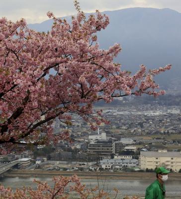 Весна в японии, цветет сакура, …» — создано в Шедевруме