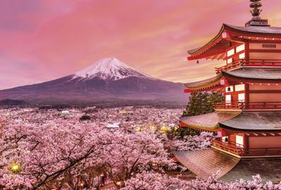 Купить фотообои на стену Весна в Японии артикул #33160