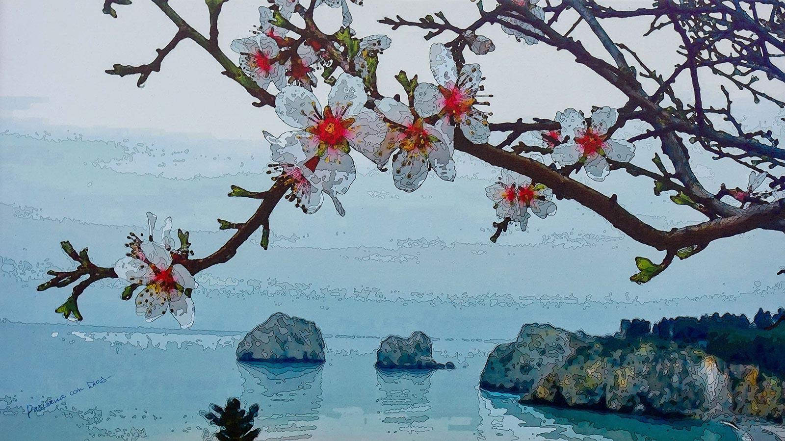 Фототур по Крыму весной | Цветение персиковых садов | Fototour.org