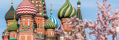 Весна в Москве: как цветут деревья – Москва 24, 07.05.2015