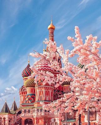 Весна в Москве, России стоковое фото. изображение насчитывающей пруд -  96972040