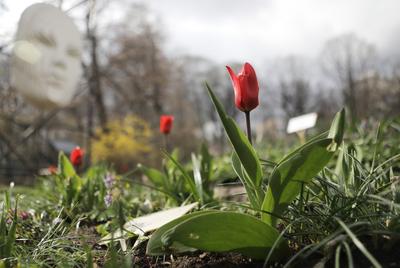 Весна в Москве (2) | Пикабу