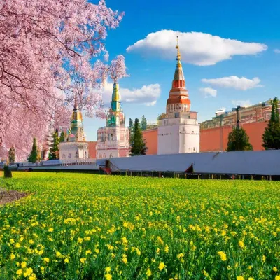 Когда в Москву придет метеорологическая весна. Синоптики дали позитивный  прогноз - KP.RU