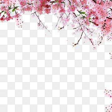 рисованной черно белые векторные цветы PNG , Цветы, рукописные цветы, весна  PNG картинки и пнг рисунок для бесплатной загрузки