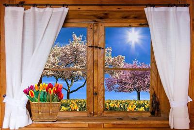 Картина по номерам \"Весна за окном\"