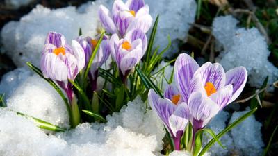 Горожан приглашают на праздник «Весна идет! Весне дорогу!» в рамках  фестиваля городской среды «