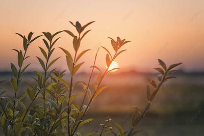Восход Солнца Рассвет Laacher - Бесплатное фото на Pixabay - Pixabay