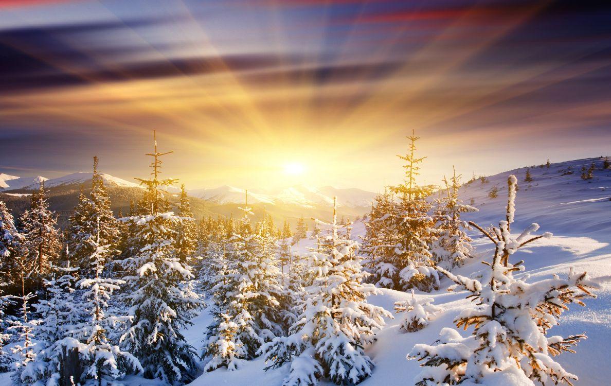 Восход Солнца В Горах Зимой. Восход Солнца В Карпатах, Украина Фотография,  картинки, изображения и сток-фотография без роялти. Image 57534612