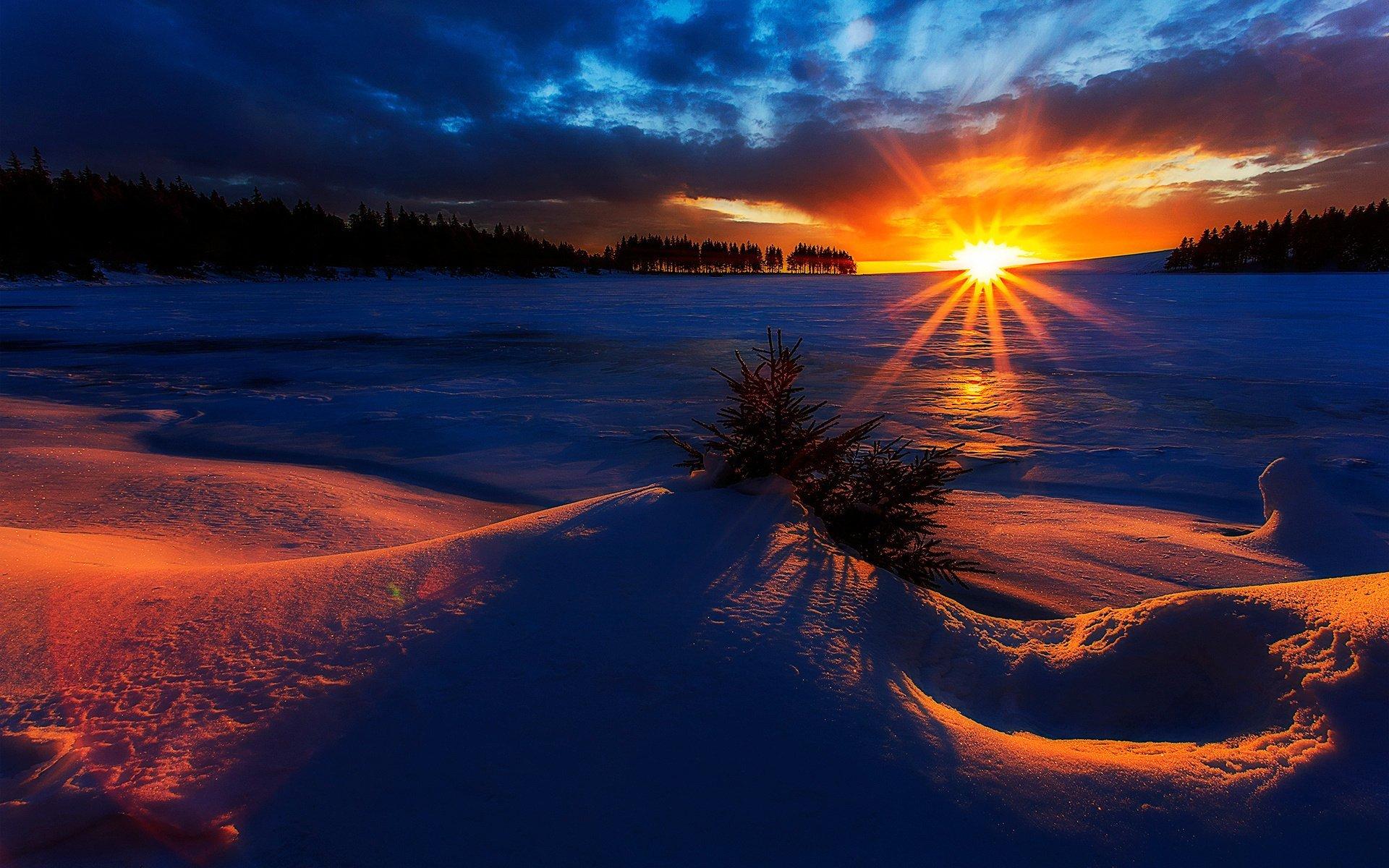 Зима. Восход солнца :: Алиме Исмаилова – Социальная сеть ФотоКто
