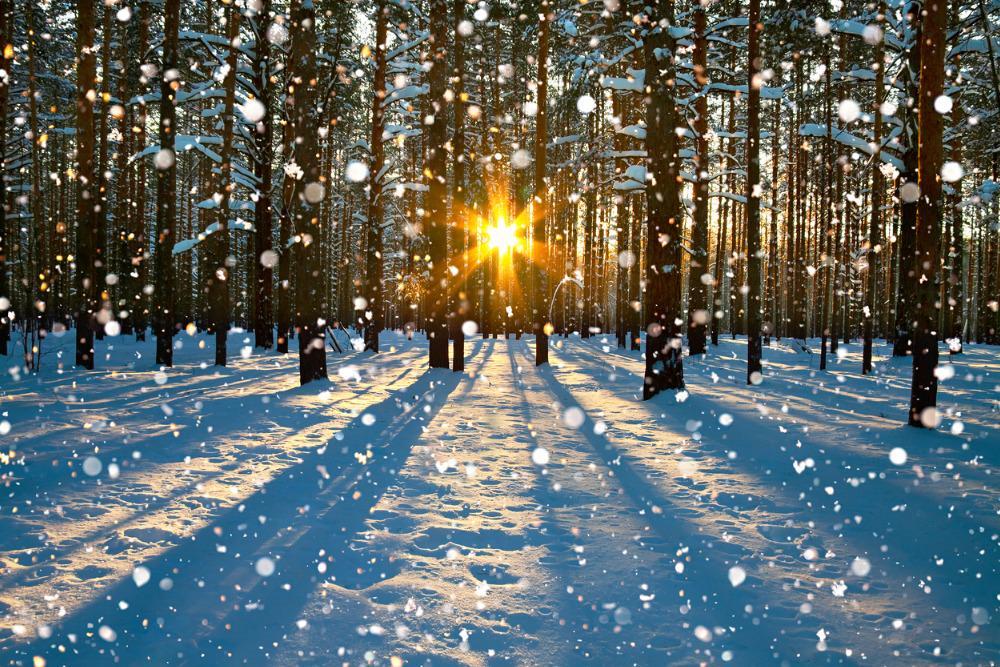 Картинки восход солнца зимой (68 фото) » Картинки и статусы про окружающий  мир вокруг