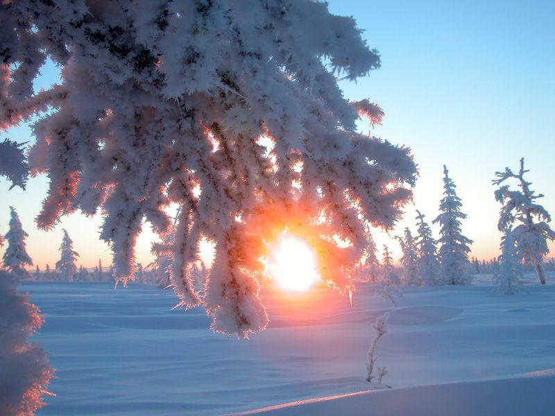 Восход солнца зимой» — создано в Шедевруме