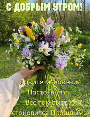Привет, друзья! Вот и дождались! Весна! – Алтайская краевая детская  библиотека имени Н. К. Крупской