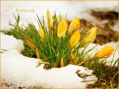 Начинаем звать весну 8 марта. Заклички Весны. | Эзотерика/Магия Рун | Дзен